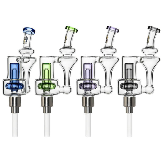 CALIBEAR COLOR CORE RECYCLING NECTAR COLLECTOR