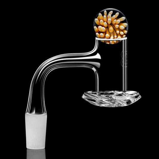 PREMIUM BLENDER | DANK BANGER Quartz Banger DANK BANGER