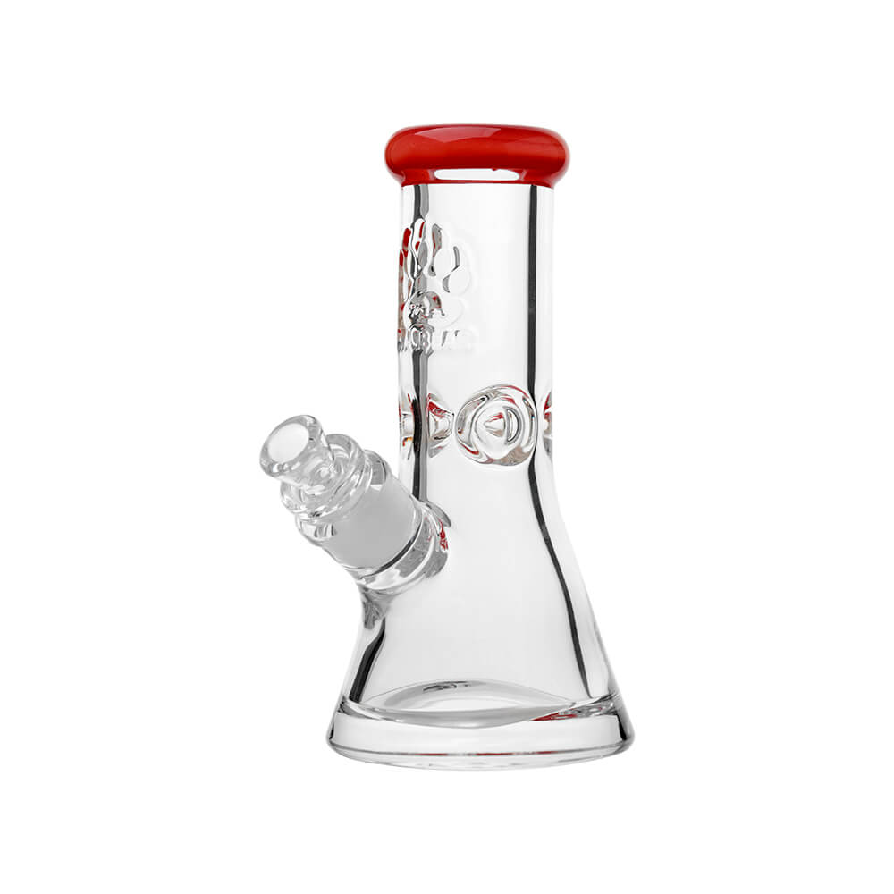 CaliBear 8 inch 9mm thick beaker water pipe with etched logo and color accented mouthpiece.