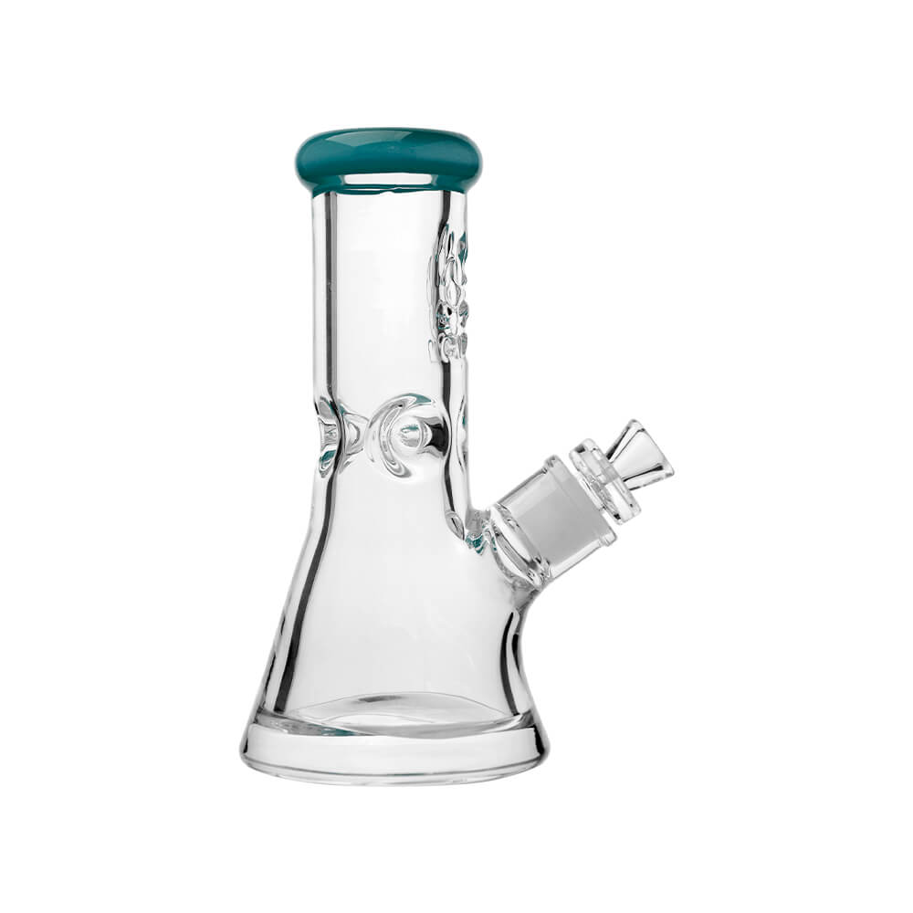 CaliBear 8 inch 9mm thick beaker water pipe with etched logo and color accented mouthpiece.