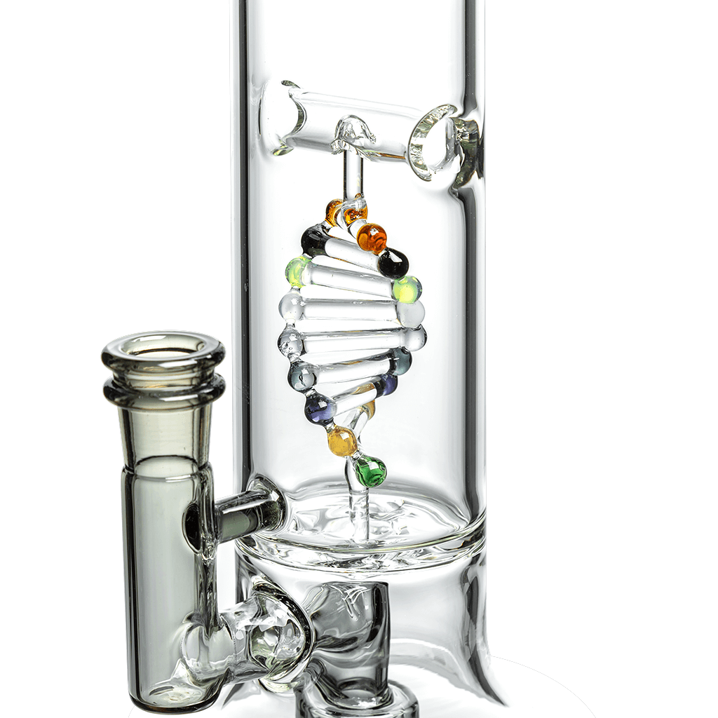 DNA DAB RIG DAB RIG Calibear 