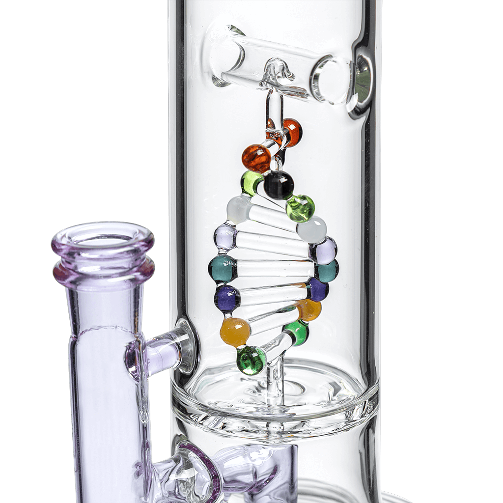 DNA DAB RIG DAB RIG Calibear 